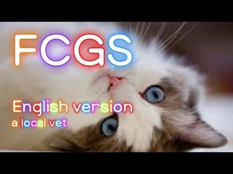 Feline chonic gingivostomatitis (FCGS)