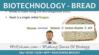 Food Production - Biotechnology - Bread - GCSE Biology (9-1)