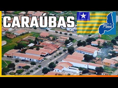 10 INFORMAÇÕES Importantes sobre CARAUBAS do Piauí