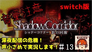 【ライブ配信】※絶叫注意※　深淵初心者で大勾玉チャレンジ！（声小さめ）【switch版　シャドーコリドー　影の回廊】