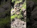 Young Adults Jumping Into The Water Fun Sun Summer 2025 Swimming Very Hot