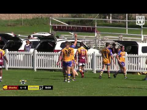 2019 Group 7 RL Reserve Grade Round 1 Highlights - Shellharbour Sharks vs Warilla Lake South Gorilla