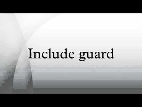 Include guard