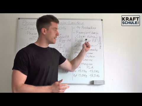 Phosphatidsäure - Kritische Analyse der Studie - Mehr Muskelaufbau durch Soja-Lecithin-Granulat