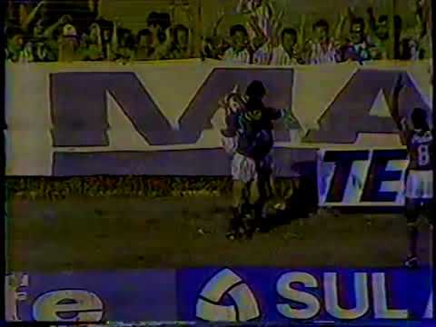 Palmeiras 4x0 Mogi Mirim - Campeonato Paulista 1989
