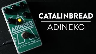 Riff &amp; Run: Catalinbread Adineko Oil Can Delay demo