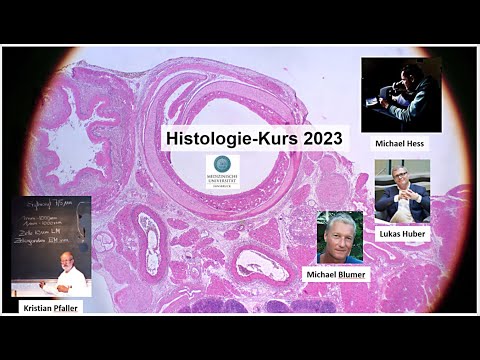 "Gewebelehre: Epithel, Bindegewebe, Muskel, Nerv"-Teil 1