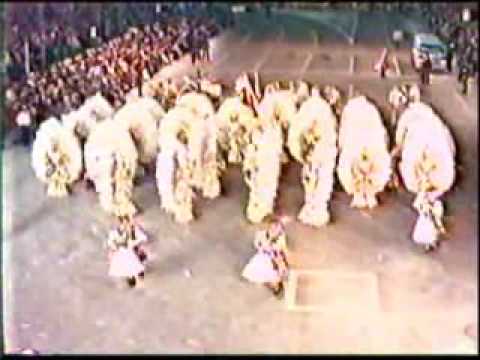 1985 Palmyra String Band - Coming To America
