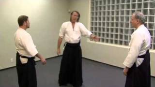 Steve's Excellent Jiyu Waza