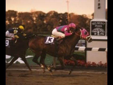 2005 Breeders cup Classic (HD)