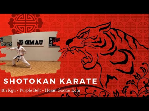 Shotokan - 4th Kyu - Purple Belt - Heian Godan Class thumbnail