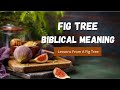 Figs in the Bible: 9 Meanings Explained | From Shame (Genesis) to Blessings (Revelation)!