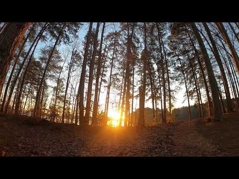 Sittin In A Cargo Trailer Down By The Lake - David Thibadeau