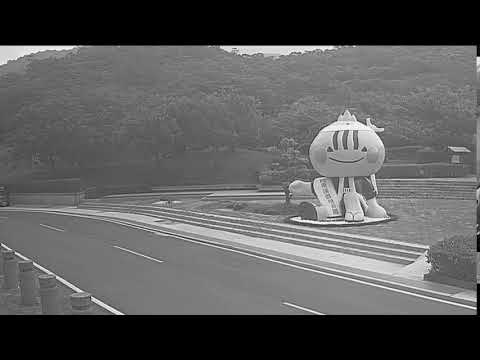 勝利星村即時影像