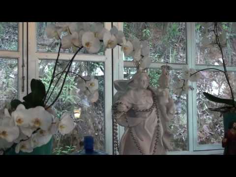 A TODOS EU QUERO ESCLARECER - F.D.J. - PAD.SEBASTIÃO 110