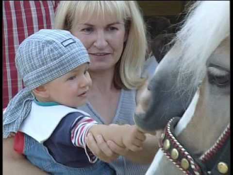 HT1 Pram - spoereiten Verein Reitverein Naturfreunde SPÖ Event 2004