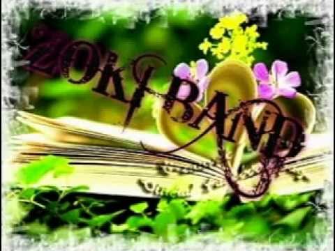 ZOKI BEND - UZIVO