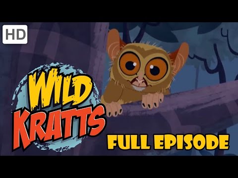 Wild Kratts - Googly Eye The Night Guru and Raptor Round Up (Full Episodes)