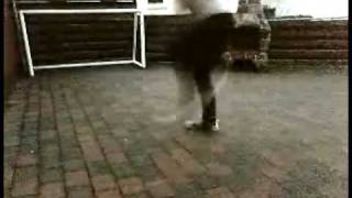 lasse kjaer shuffle movie