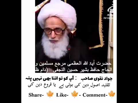 Allama Bashir Najafi About Azadari-e-Hussain (a.s)