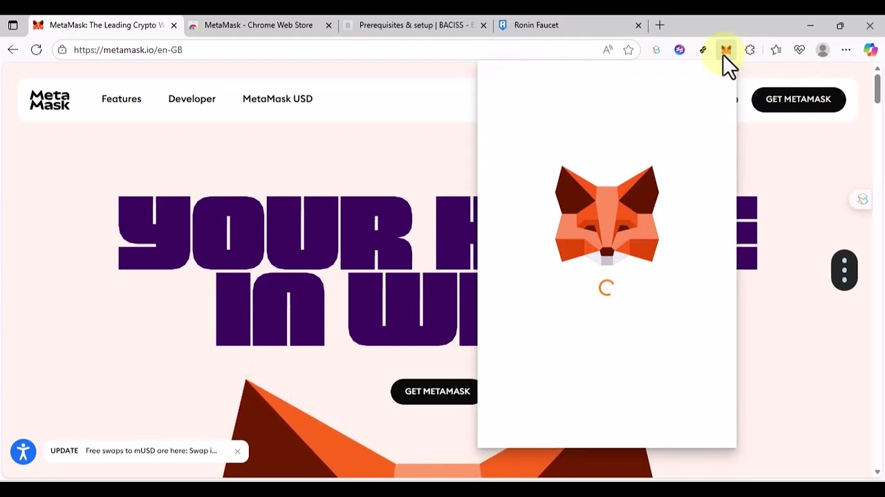 Setting up Metamask and Getting Testnet Tokens (Faucets)