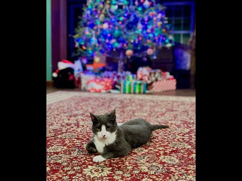 Coffee With Scott Adam 12/27/25