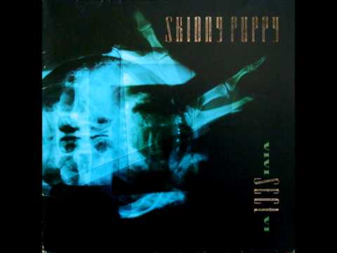 Skinny Puppy - The Second Opinion
