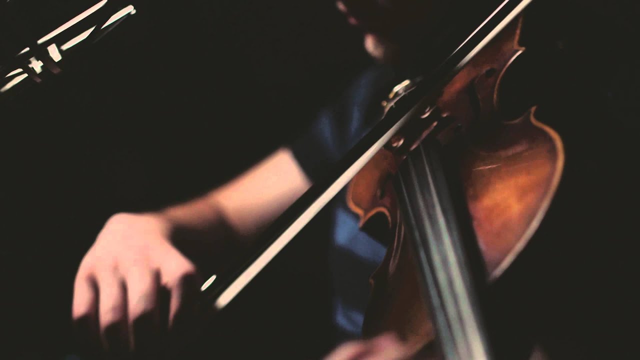 Promotional video thumbnail 1 for Ethan Rose - Seattle's Violinist