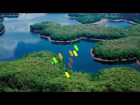 Elavathoor Kayalinte