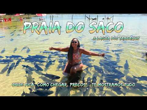 From Salvador to Sergipe, we took the classic tour - Praia do Saco and Lagoa dos Tambaquis with p...