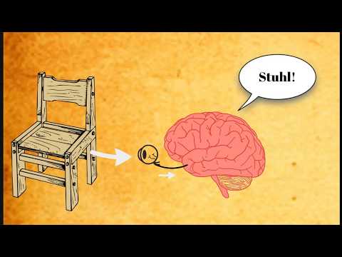 Anschauungsformen und Kategorien (Immanuel Kant)