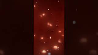 Download lagu Wedding HD Stock Video | Free stock footage | Free HD Videos - No Copyright | Channel ALTECH Studio mp3