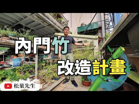 內門竹種植