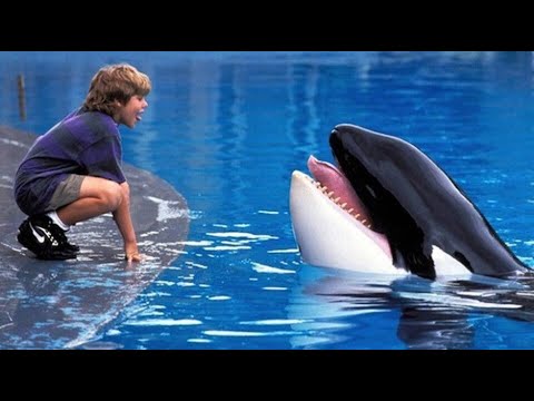Free Willy (1993) Michael Jackson - Will you be there, Musicvideo Tribute Trailer