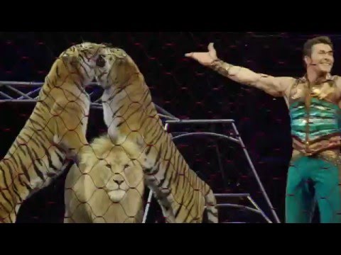 Alexander Lacey Big Cat Training - Pyramid