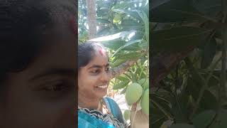 Download lagu நான் மாந்தோப்பில் நின்று இருந்தேன் 🤗 #tamil #tamil #lifeisbutadream #love #song mp3