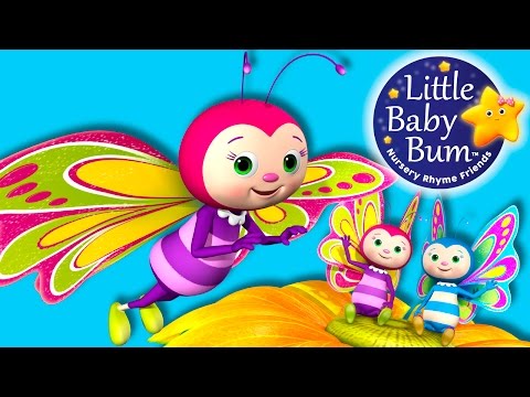 Butterfly Song | Nursery Rhymes for Babies by LittleBabyBum - ABCs and 123s