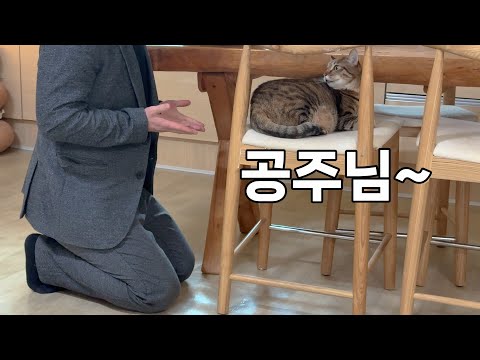 앵두 공주의 마음을 얻기 위해 무릎까지 꿇은 남자