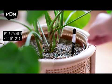 Video indicatore di irrigazione PON