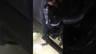 2012 Civic Si Blower Motor And Resistor replacement