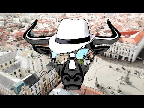 Medimeisterschaften Pécs 2019 - Welcome To St. Tropécs