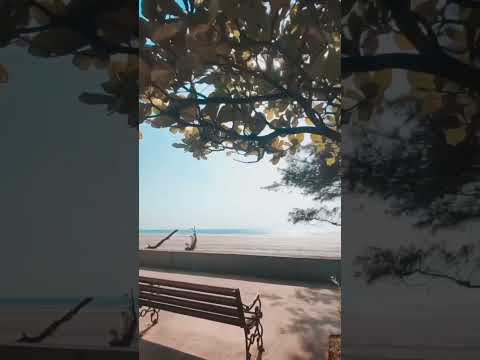 shrivardhan beach | best nature of konkan #shrivardhan #nature #konkan