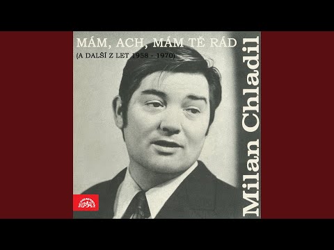 Toulavá (Danke schön)