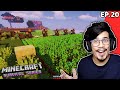 Biggest Potato XP Farm Minecraft Fleet Kingdom 20