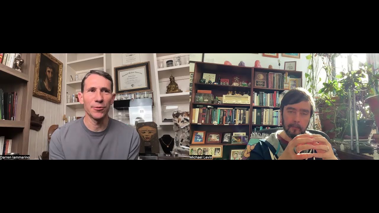 Conversation with Darren Iammarino #1