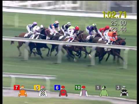 PACKING WHIZ won The Chairman's Trophy 2013