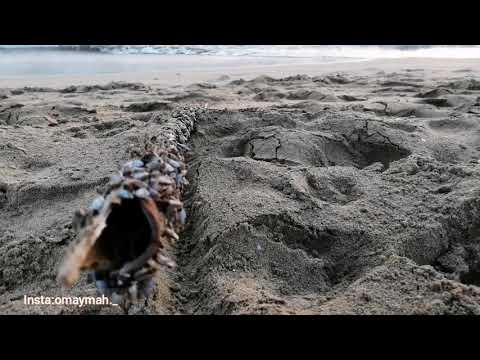 Summer day on beach 🏖️💙