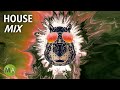 Upbeat Study Music Deep Focus House Mix (Capybara) - Isochronic Tones