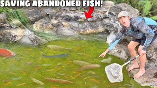 Saving Monster Fish Living in Abandoned Pond!