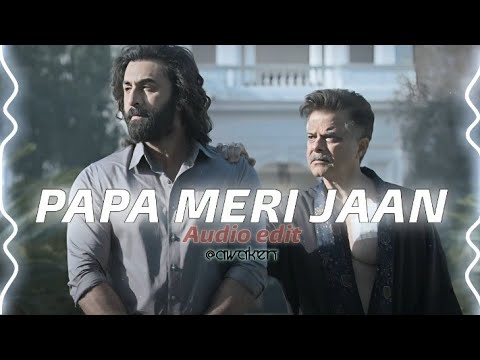 Papa Meri Jaan :- Animal ( edit audio ) Sonu Nigam